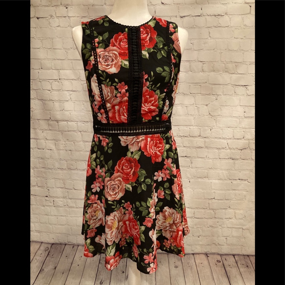 Disney Princess Dress: Black w/ Red Roses JSize M